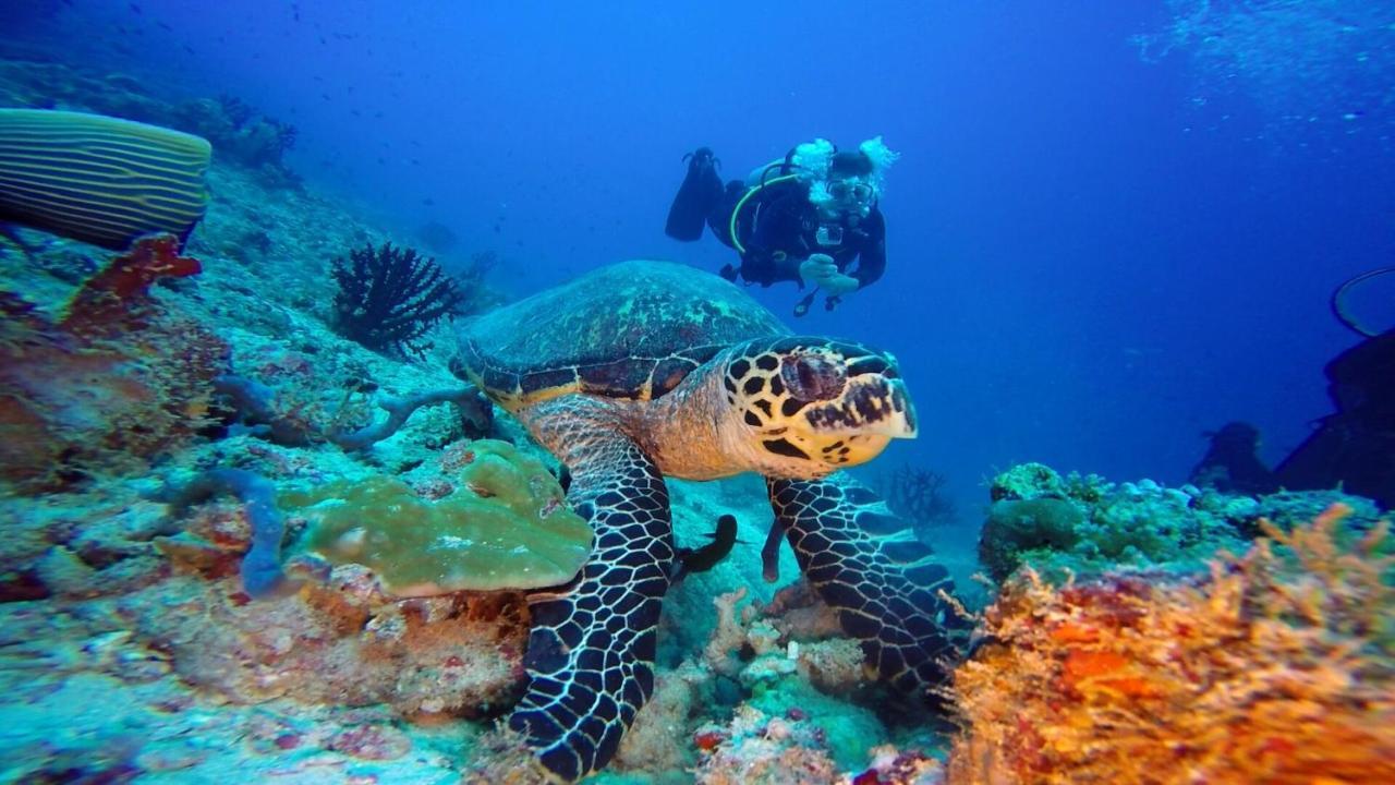 Club Kaafu Maldives Otel Dhiffushi Dış mekan fotoğraf